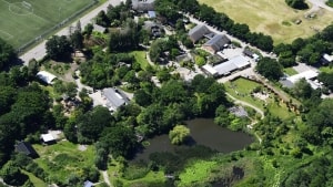 Guldborgsund Zoo & Botanisk Have foreslås lukket. Arkivfoto: Anders Knudsen