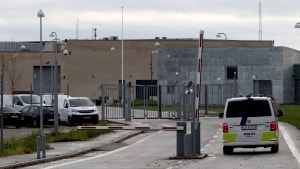 De indsatte her i Storstrøm Fængsel laver mad, som kan sælges videre til private. Foto: Claus Hansen
