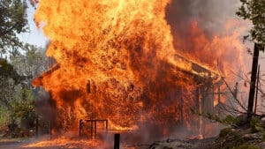 Branden Oak Fire er koncentreret omkring Mariposa County og har allerede tilintetgjort flere huse i området. Foto: Justin Sullivan/Ritzau Scanpix