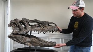 Brock Sisson er kommet til Danmark for at være med til sætte Allosaurusen 